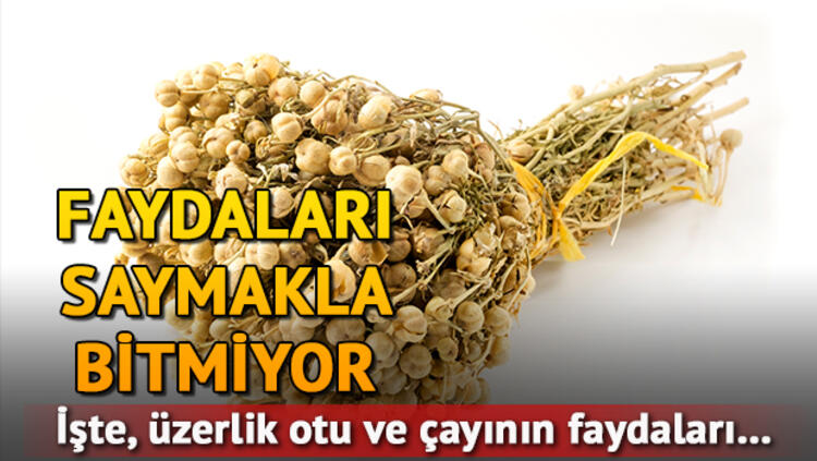 uyanmak isteyenler ve uzerlik tohumu